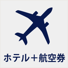 航空券付き宿泊プラン